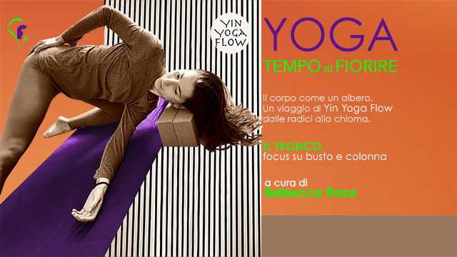 Yin Yoga Flow "Il Tronco" focus su busto e colonna aprile 2026 palestra Fitness Faktory